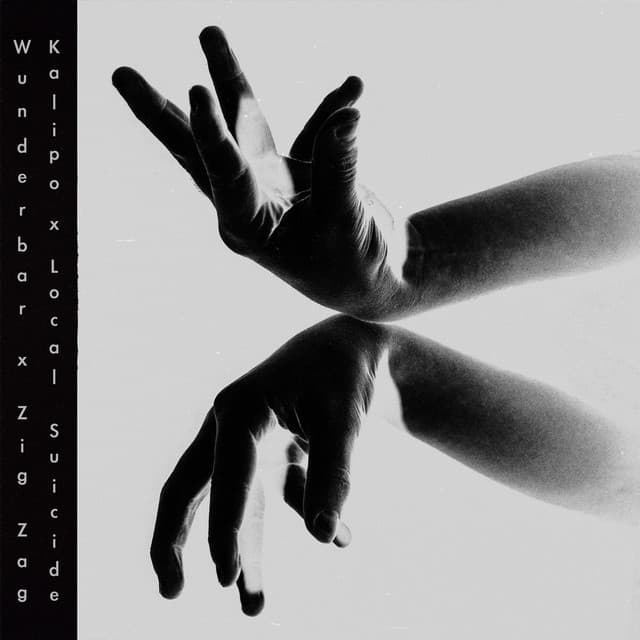 Zig Zag cover art