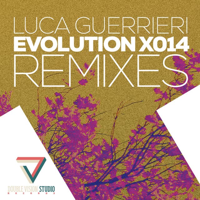 Evolution X014 - Giacomo Donati Remix cover art