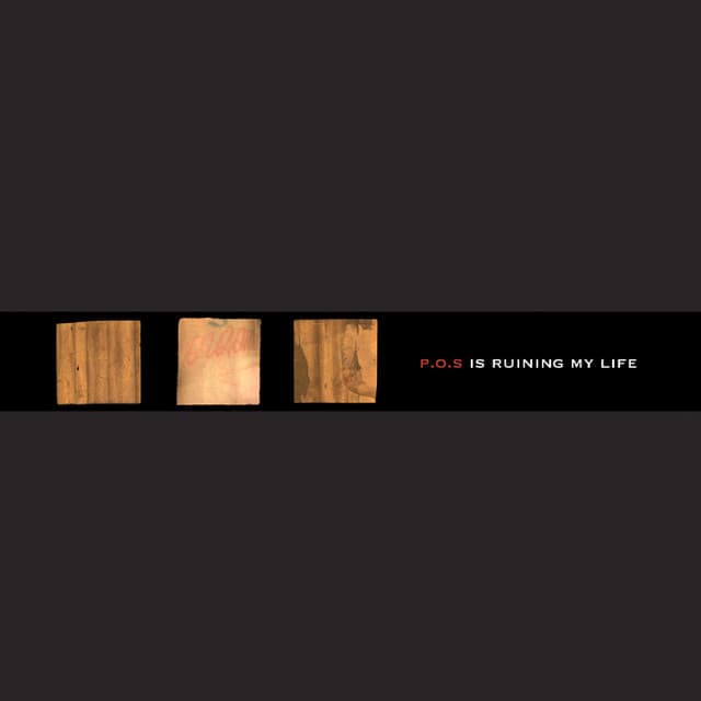P.O.S Is Ruining My Life cover art