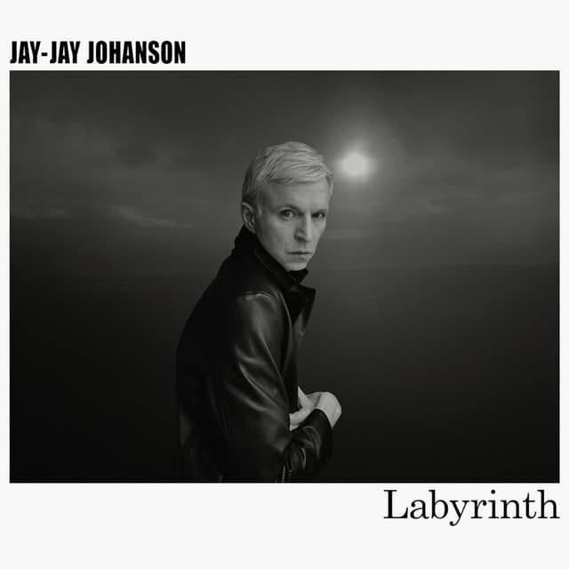 Labyrinth (Timmy Timid Remix) cover art