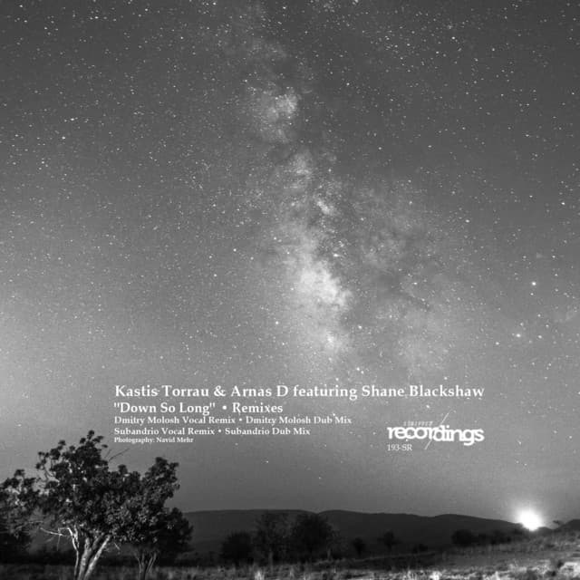 Down So Long - Dmitry Molosh Vocal Remix cover art