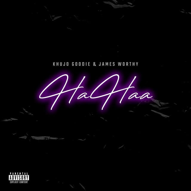Ha Haaa cover art