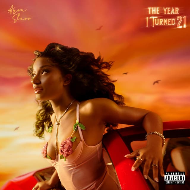 The Year I Turned 21 cover art