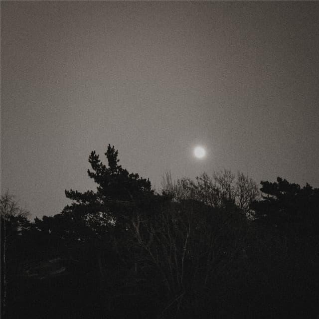 Christmas Dream cover art