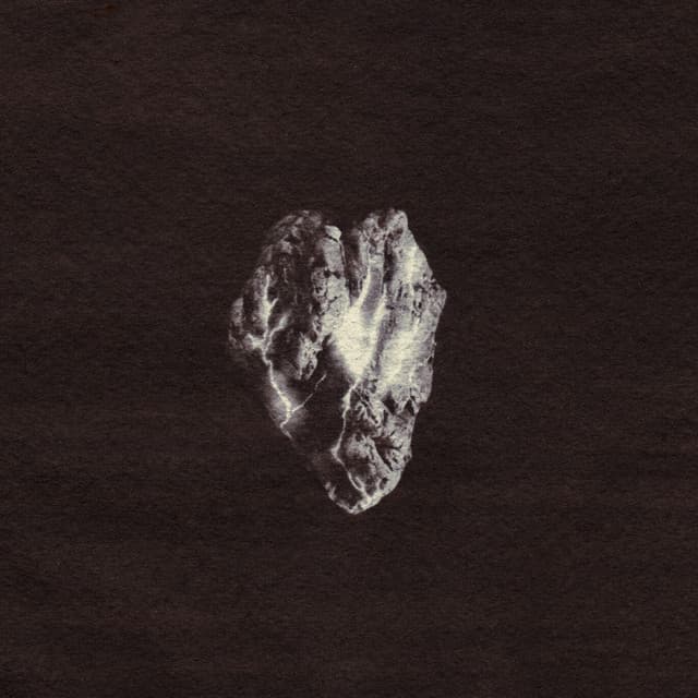 Alles Met Een Reden cover art