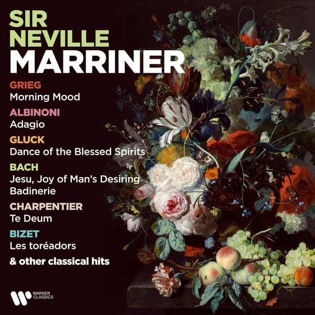Grieg: Morning Mood - Albinoni: Adagio - Gluck: Dance of the Blessed Spirits - Bach: Jesu, Joy of Man's Desiring & Badinerie & Other Classical Hits cover art