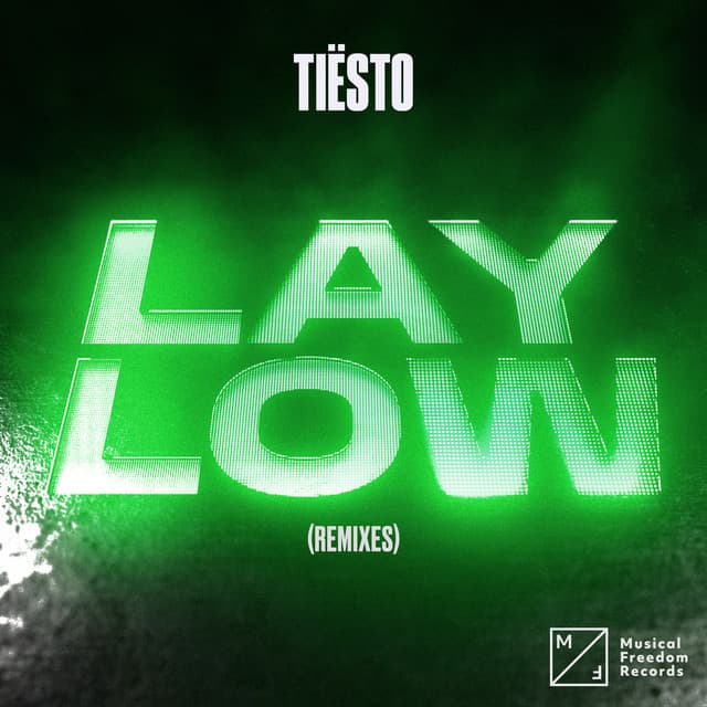Lay Low (SLVR Remix) - Extended Mix cover art