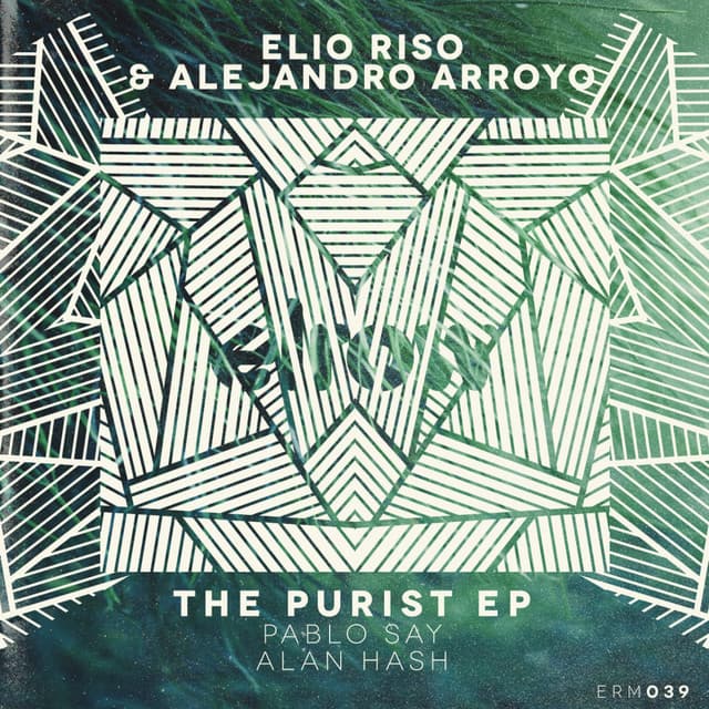 The Purist - Pablo Say Remix cover art
