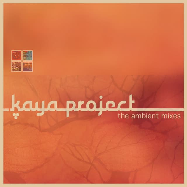 Outside Looking In - Ambient Mix cover art