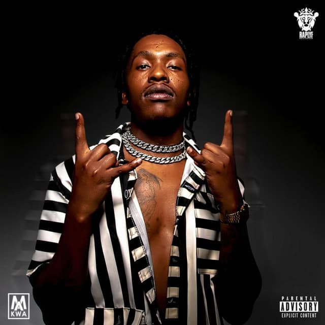 Uzong 'Ndinga cover art