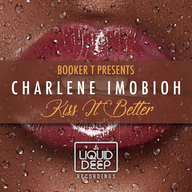 Kiss It Better - Booker T Kings Of Soul Satta Dub cover art