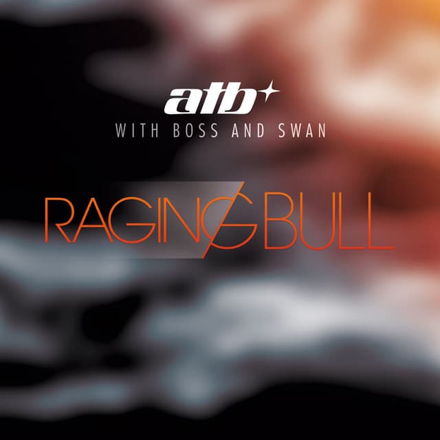Raging Bull - Extended Mix cover art
