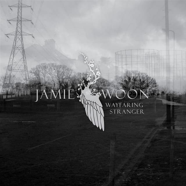 Wayfaring Stranger - Stitch Mix cover art
