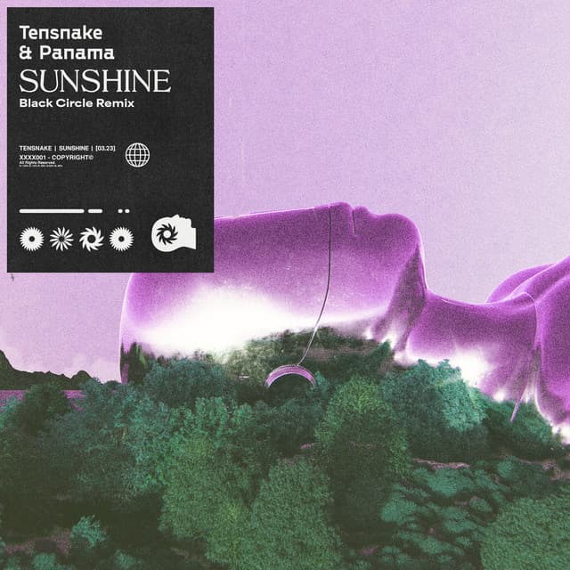 Sunshine - Black Circle Extended Remix cover art