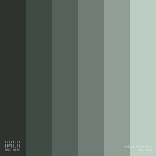 hooligan cover art