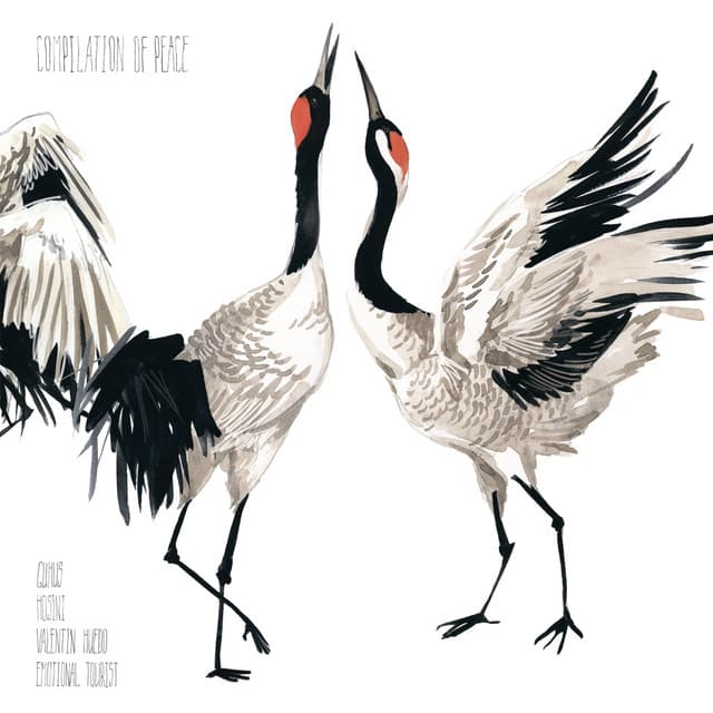 Little Bahia cover art