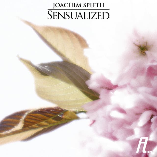 Sensual - Jamal Moulay Remix cover art