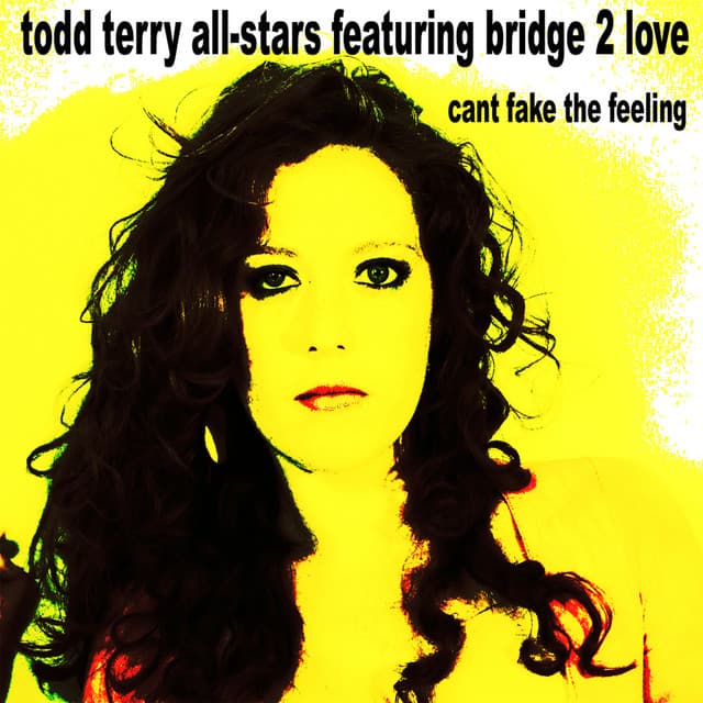 Can't Fake the Feeling - Tee's Soulful Mix cover art