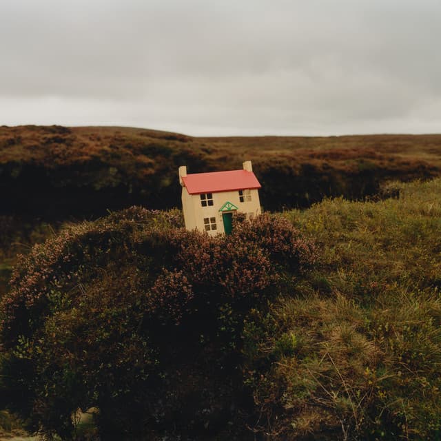Freedom cover art