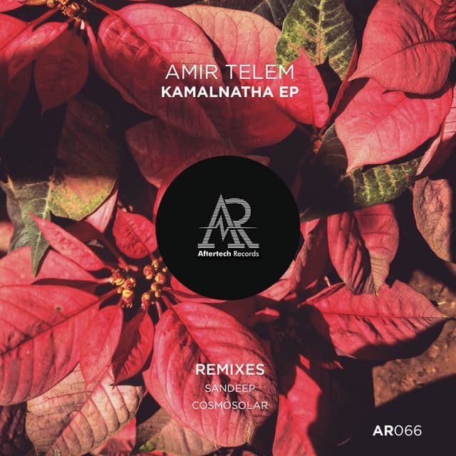 Kamalnatha - Sandeep's Deeper Groove Mix cover art