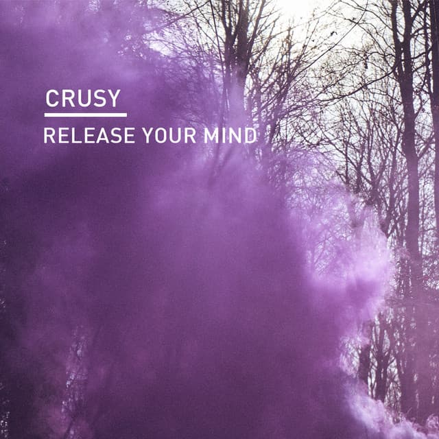 Release Your Mind - Oscar L Grooves Remix cover art