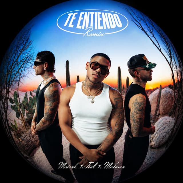 Te Entiendo - Remix cover art