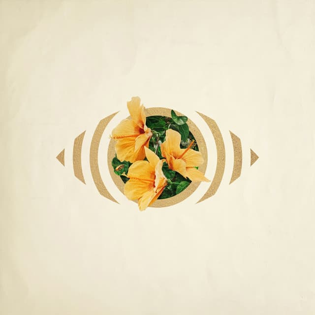 Bayou cover art