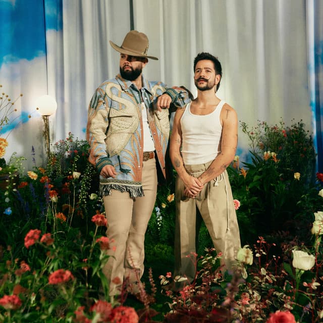 Una Vida Pasada cover art