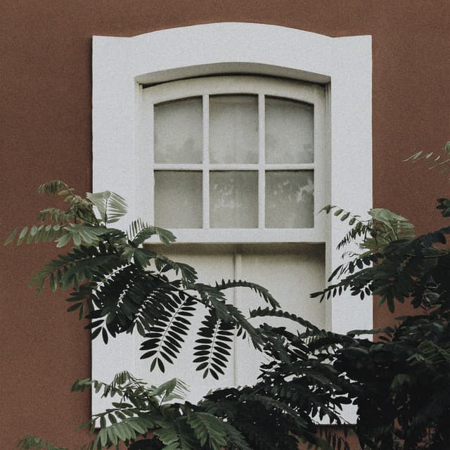 i hope i was enough cover art