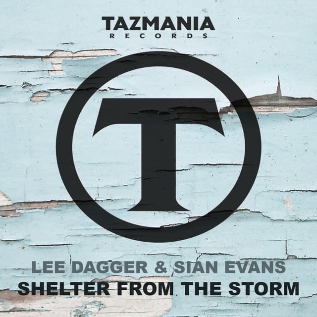 Shelter From The Storm - Country Club Martini Crew Remix cover art