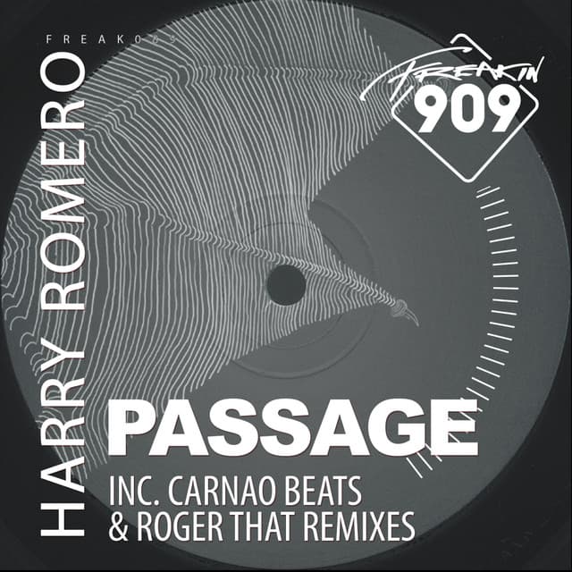 Passage - Roger That (UK) Remix cover art